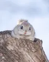 2Ecj4UJjegEcjCEPFMuXJprFUD8HMVphqTg2Qtm5pump