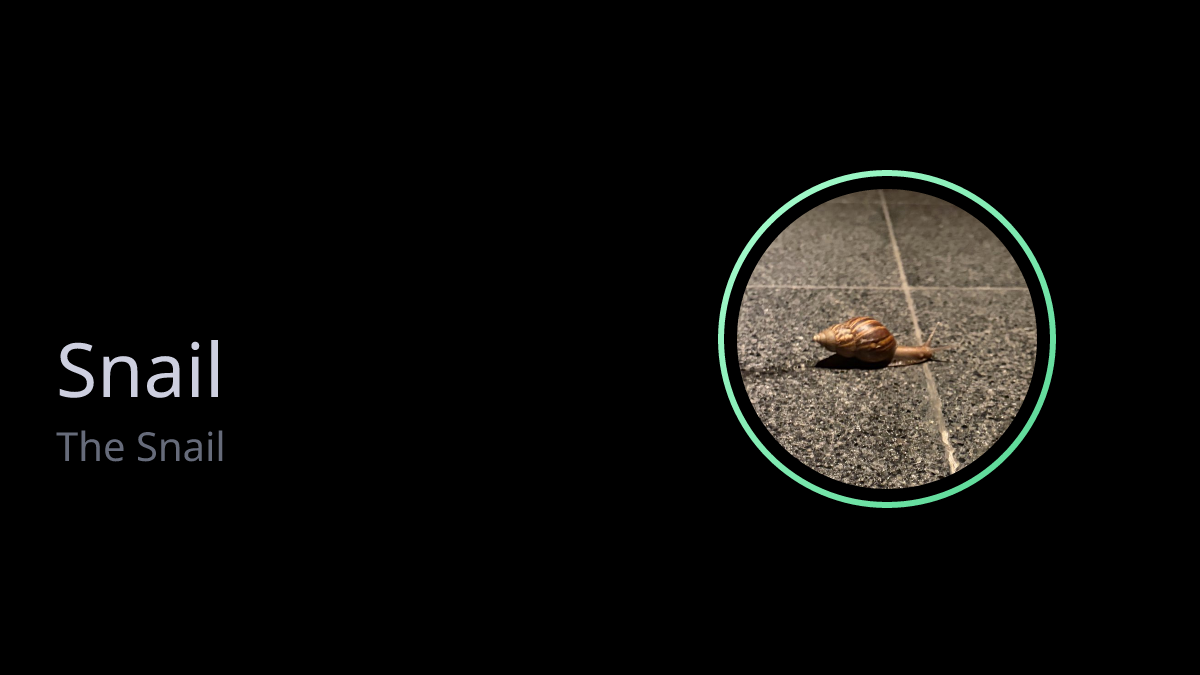 View Snail Trading Data | Cielo